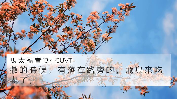 馬 太 福 音 13:4 CUVT 4K Wallpaper - 撒 的 時 候 ， 有 落 在 路 旁 的 ， - 4K Wallpaper Bible Verse