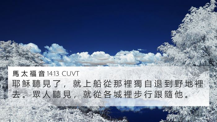 馬 太 福 音 14:13 CUVT Bible Verse Image