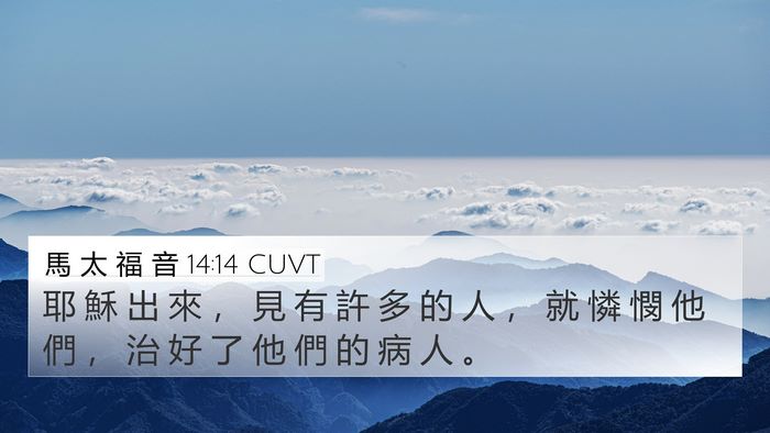 馬 太 福 音 14:14 CUVT Bible Verse Image