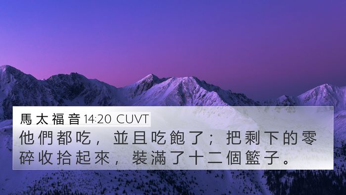 馬 太 福 音 14:20 CUVT Bible Verse Image