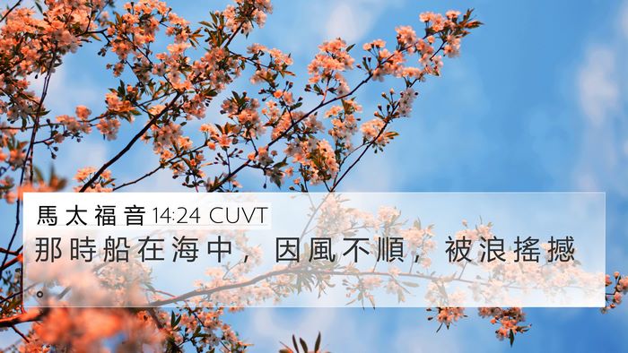 馬 太 福 音 14:24 CUVT Bible Verse Image