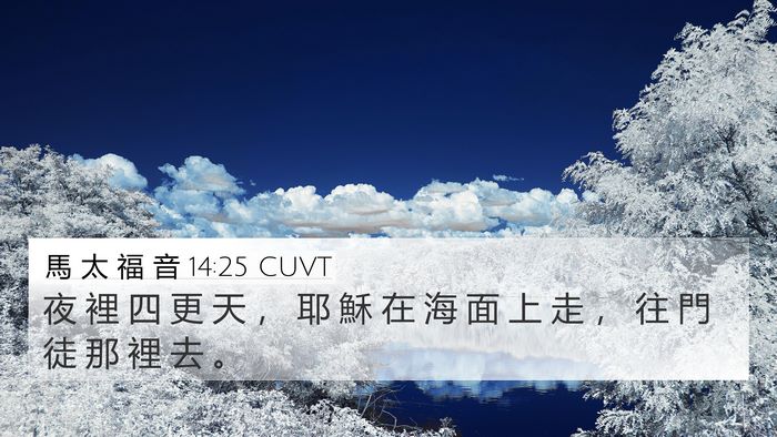 馬 太 福 音 14:25 CUVT Bible Verse Image
