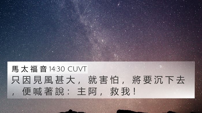 馬 太 福 音 14:30 CUVT 4K Wallpaper - 只 因 見 風 甚 大 ， 就 害 怕 ， 將 - 4K Wallpaper Bible Verse