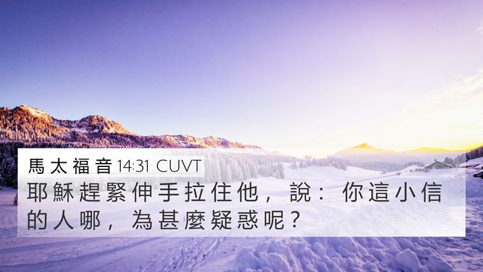 馬 太 福 音 14:31 CUVT 4K Wallpaper - 耶 穌 趕 緊 伸 手 拉 住 他 ， 說 ： - 4K Wallpaper Bible Verse