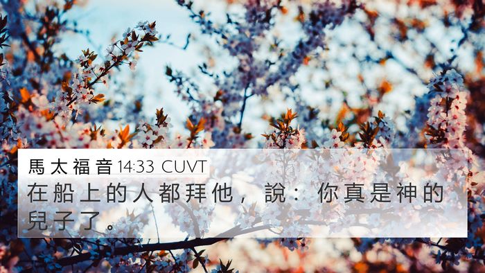 馬 太 福 音 14:33 CUVT Bible Verse Image