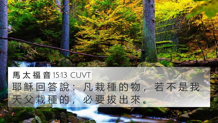 馬 太 福 音 15:13 CUVT Bible Verse Image