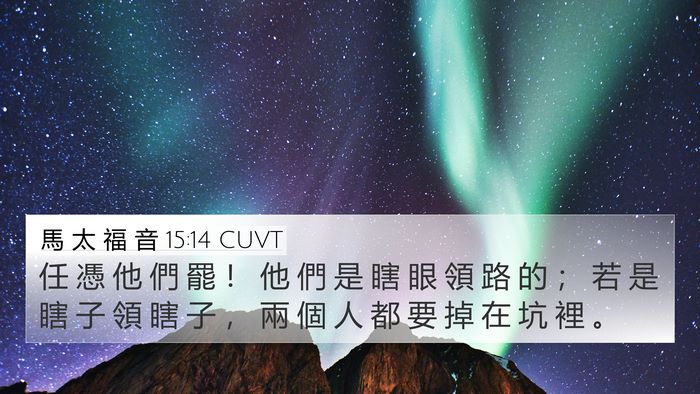 馬 太 福 音 15:14 CUVT Bible Verse Image