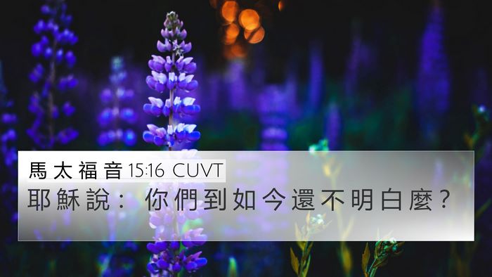 馬 太 福 音 15:16 CUVT Bible Verse Image