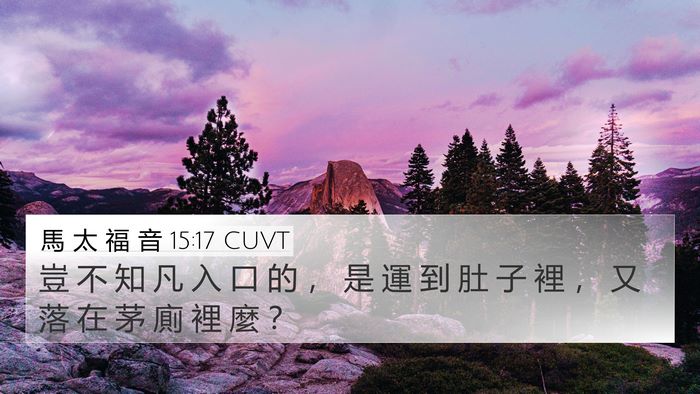 馬 太 福 音 15:17 CUVT Bible Verse Image