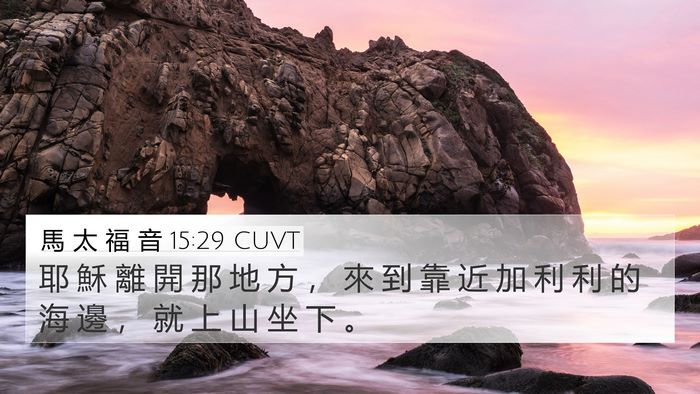 馬 太 福 音 15:29 CUVT Bible Verse Image