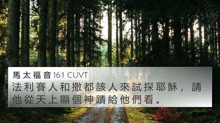 馬 太 福 音 16:1 CUVT Bible Verse Image
