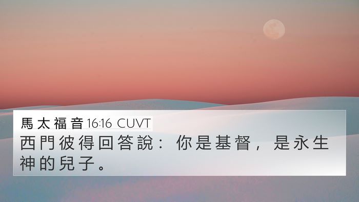 馬 太 福 音 16:16 CUVT Bible Verse Image