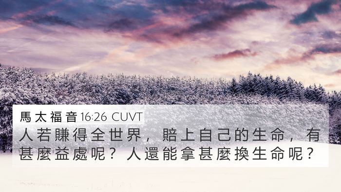 馬 太 福 音 16:26 CUVT Bible Verse Image
