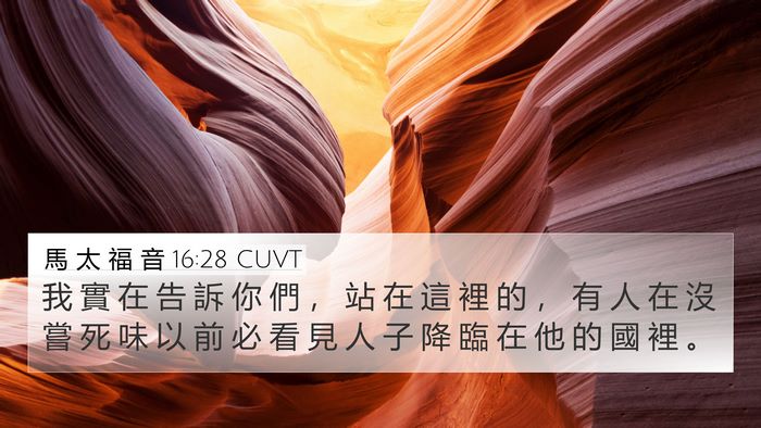 馬 太 福 音 16:28 CUVT Bible Verse Image