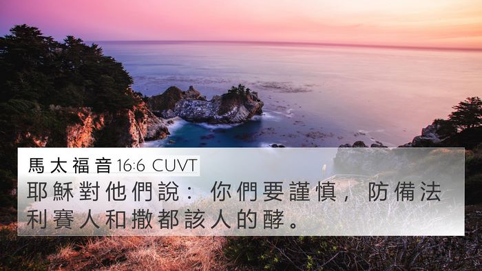 馬 太 福 音 16:6 CUVT Bible Verse Image