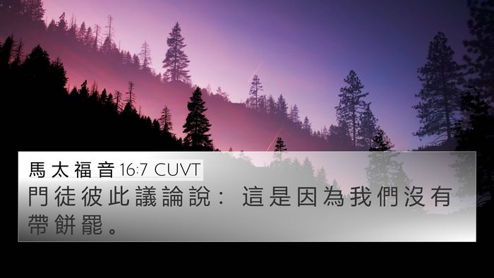 馬 太 福 音 16:7 CUVT Bible Verse Image
