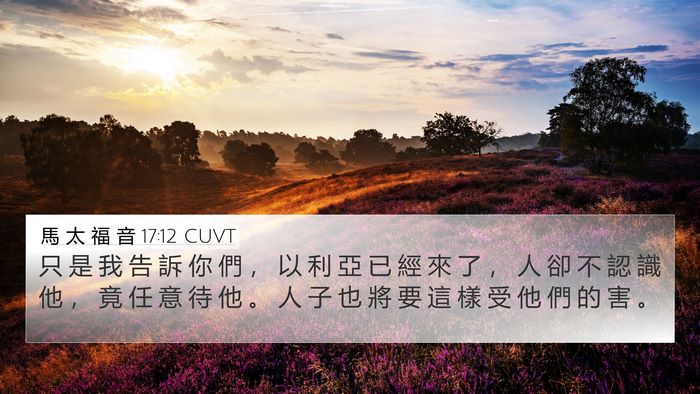馬 太 福 音 17:12 CUVT Bible Verse Image