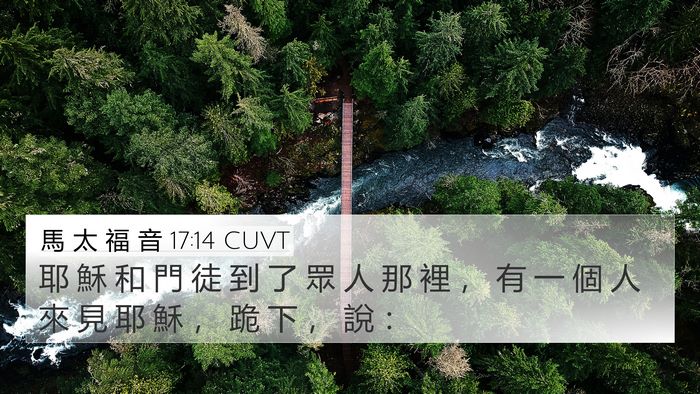 馬 太 福 音 17:14 CUVT 4K Wallpaper - 耶 穌 和 門 徒 到 了 眾 人 那 裡 ， - 4K Wallpaper Bible Verse