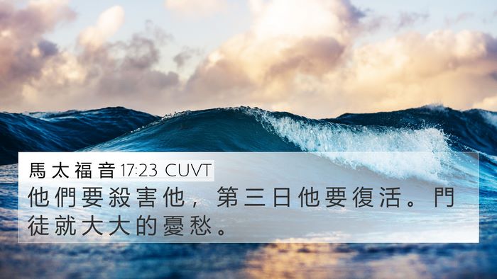 馬 太 福 音 17:23 CUVT Bible Verse Image