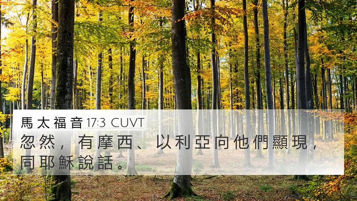 馬 太 福 音 17:3 CUVT 4K Wallpaper - 忽 然 ， 有 摩 西 、 以 利 亞 向 他 - 4K Wallpaper Bible Verse