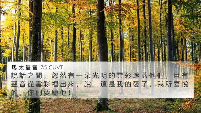 馬 太 福 音 17:5 CUVT Bible Verse Image