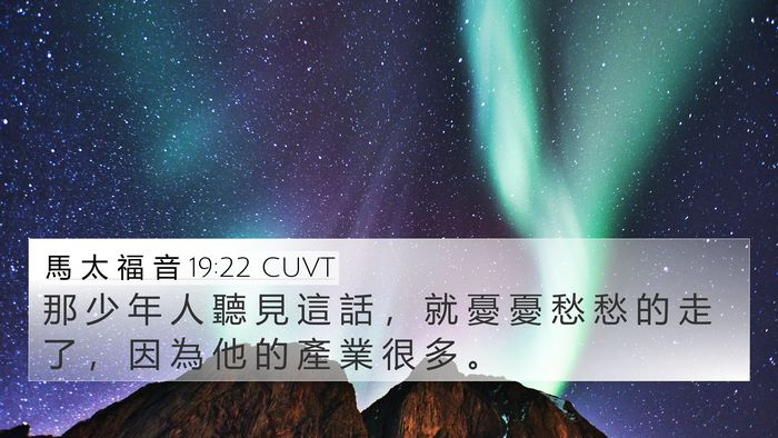 馬 太 福 音 19:22 CUVT Bible Verse Image