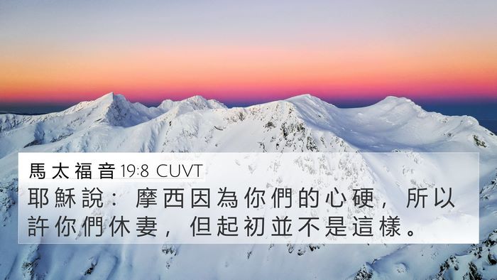 馬 太 福 音 19:8 CUVT Bible Verse Image