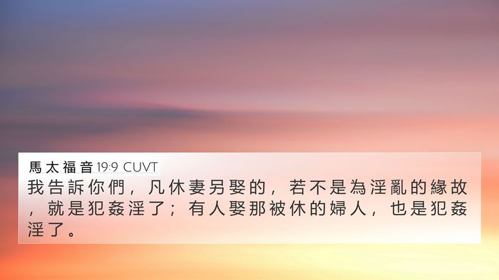馬 太 福 音 19:9 CUVT Bible Verse Image