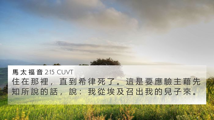 馬 太 福 音 2:15 CUVT 4K Wallpaper - 住 在 那 裡 ， 直 到 希 律 死 了 。 - 4K Wallpaper Bible Verse