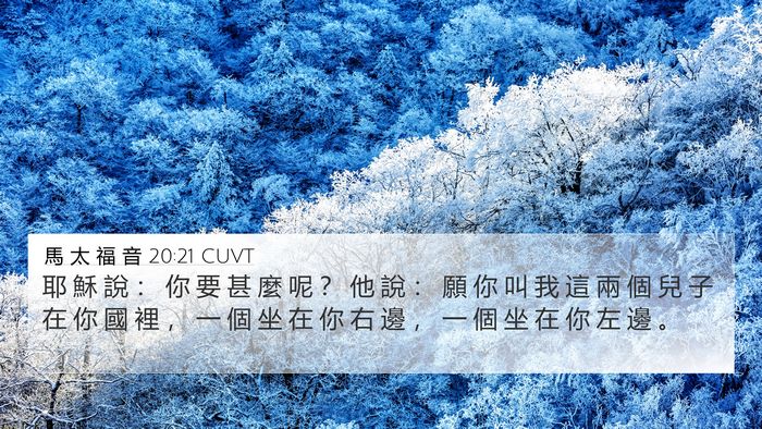 馬 太 福 音 20:21 CUVT Bible Verse Image