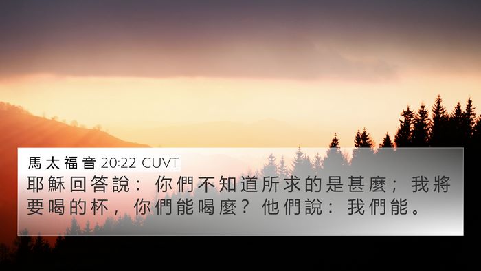 馬 太 福 音 20:22 CUVT Bible Verse Image