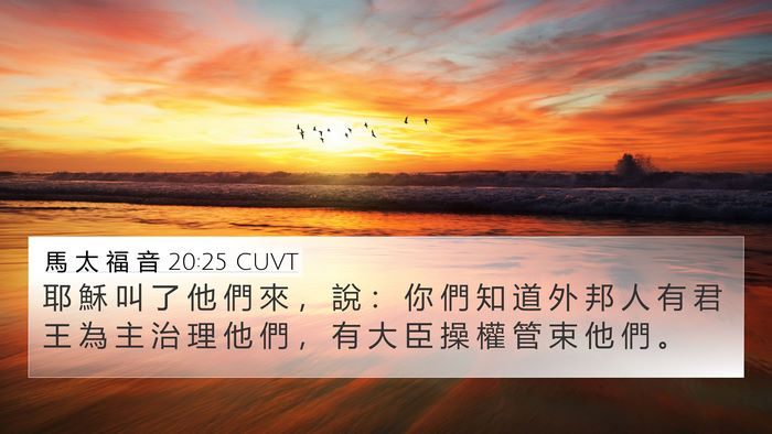 馬 太 福 音 20:25 CUVT Bible Verse Image