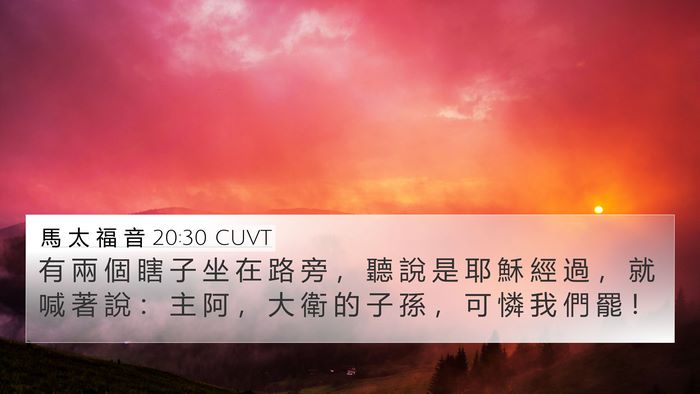 馬 太 福 音 20:30 CUVT Bible Verse Image