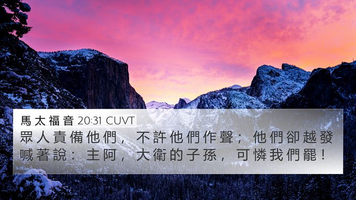 馬 太 福 音 20:31 CUVT Bible Verse Image