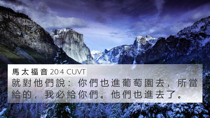 馬 太 福 音 20:4 CUVT 4K Wallpaper - 就 對 他 們 說 ： 你 們 也 進 葡 萄 - 4K Wallpaper Bible Verse