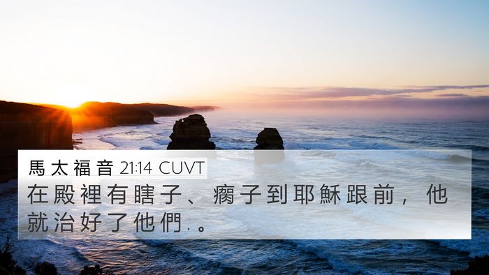 馬 太 福 音 21:14 CUVT Bible Verse Image