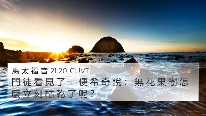 馬 太 福 音 21:20 CUVT 4K Wallpaper - 門 徒 看 見 了 ﹐ 便 希 奇 說 ： 無 - 4K Wallpaper Bible Verse