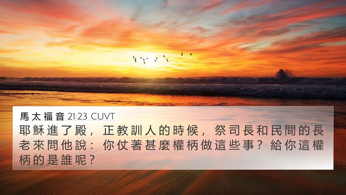 馬 太 福 音 21:23 CUVT Bible Verse Image