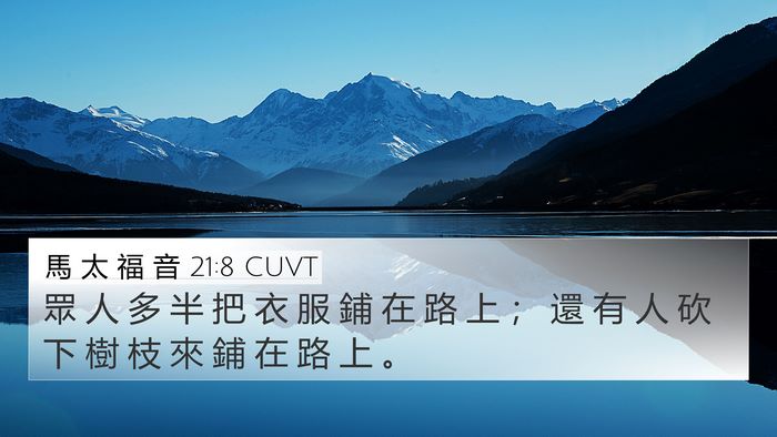 馬 太 福 音 21:8 CUVT Bible Verse Image