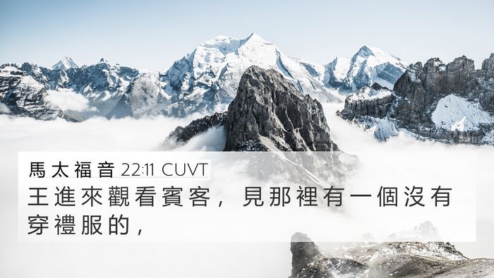馬 太 福 音 22:11 CUVT Bible Verse Image