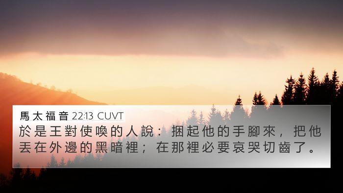 馬 太 福 音 22:13 CUVT Bible Verse Image