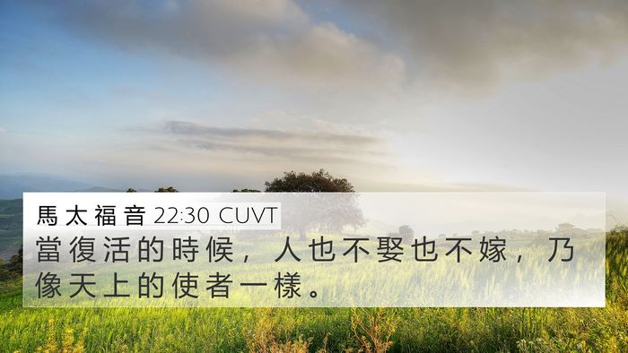 馬 太 福 音 22:30 CUVT Bible Verse Image