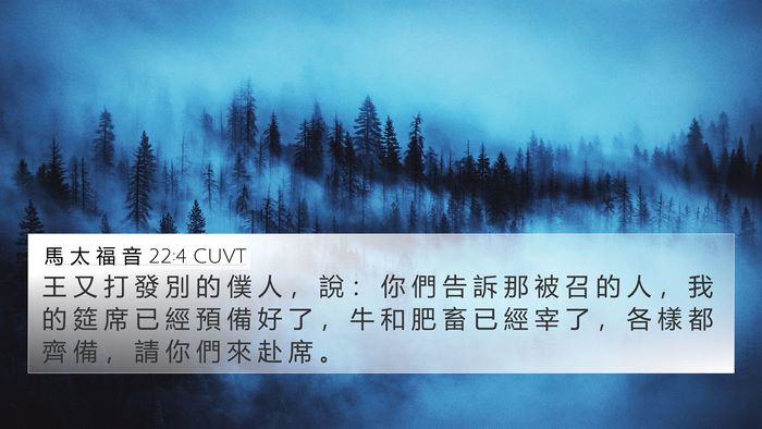 馬 太 福 音 22:4 CUVT Bible Verse Image