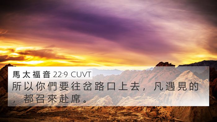 馬 太 福 音 22:9 CUVT Bible Verse Image