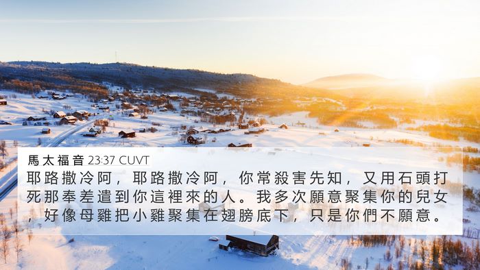 馬 太 福 音 23:37 CUVT Bible Verse Image