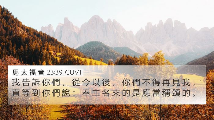 馬 太 福 音 23:39 CUVT Bible Verse Image