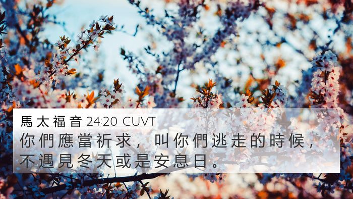 馬 太 福 音 24:20 CUVT 4K Wallpaper - 你 們 應 當 祈 求 ， 叫 你 們 逃 走 - 4K Wallpaper Bible Verse