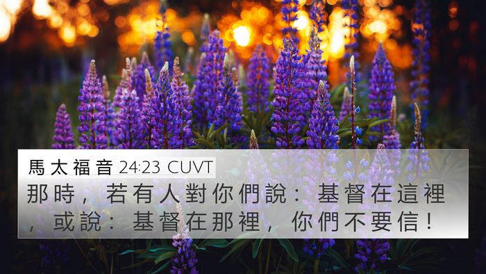 馬 太 福 音 24:23 CUVT Bible Verse Image