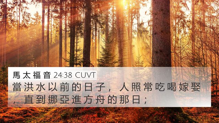 馬 太 福 音 24:38 CUVT Bible Verse Image