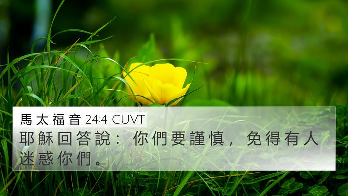 馬 太 福 音 24:4 CUVT Bible Verse Image